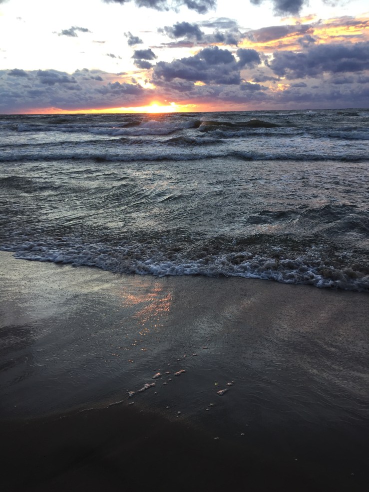 B7DF6242-7C37-4C04-A722-7D22A60F4ED5